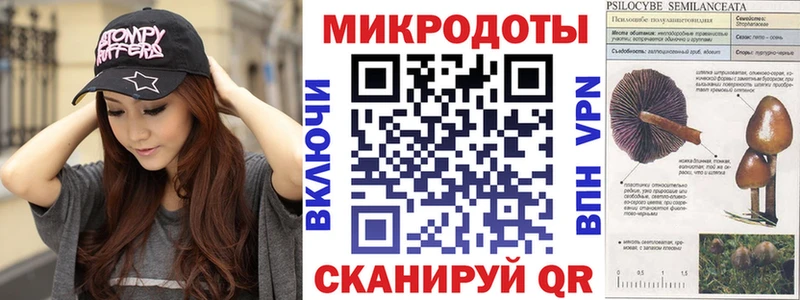 Псилоцибиновые грибы мицелий  ОМГ ОМГ   Черкесск 